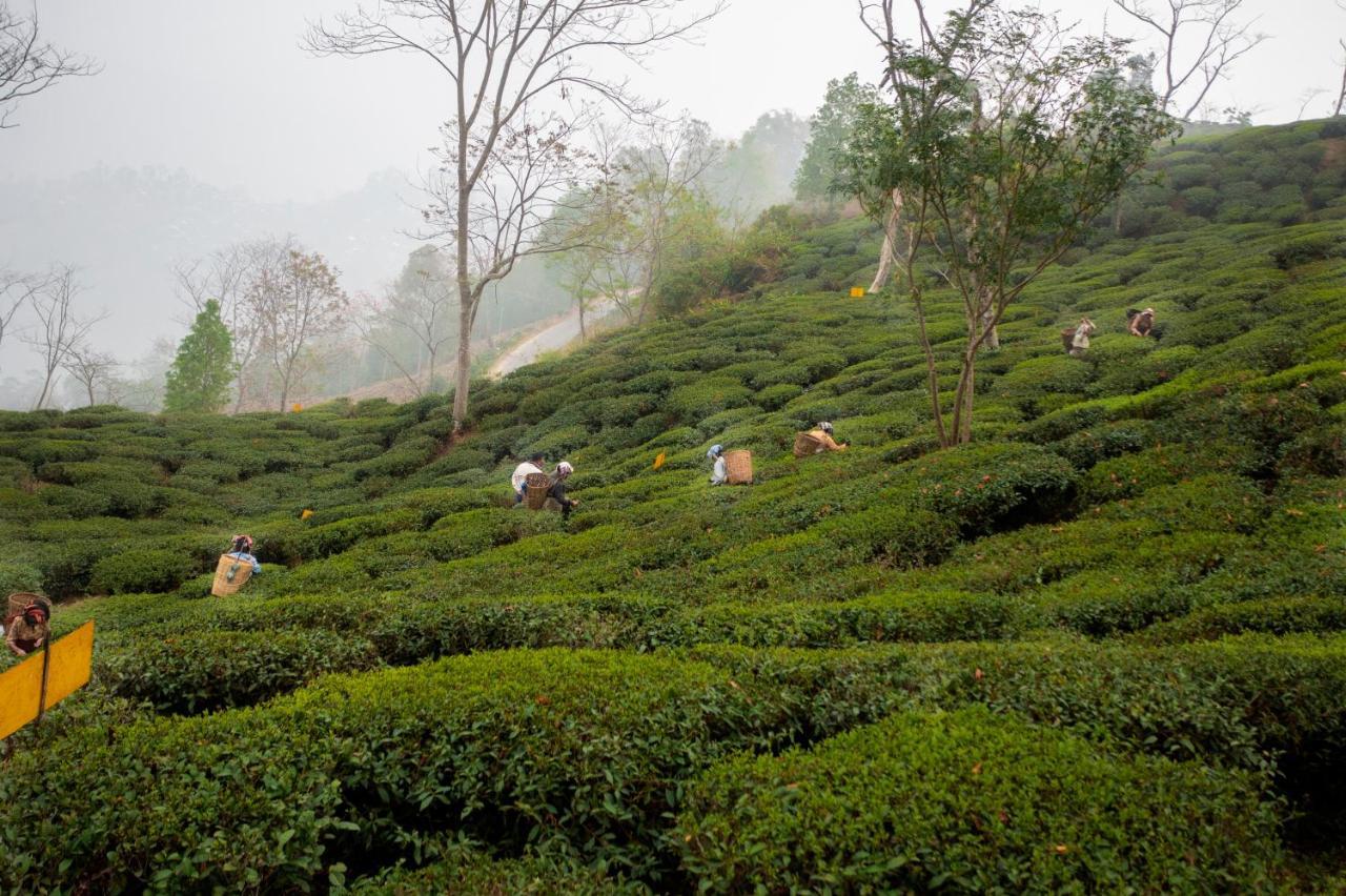 Ama Stays & Trails Puttabong Cottage, Darjeeling Darjeeling  Luaran gambar